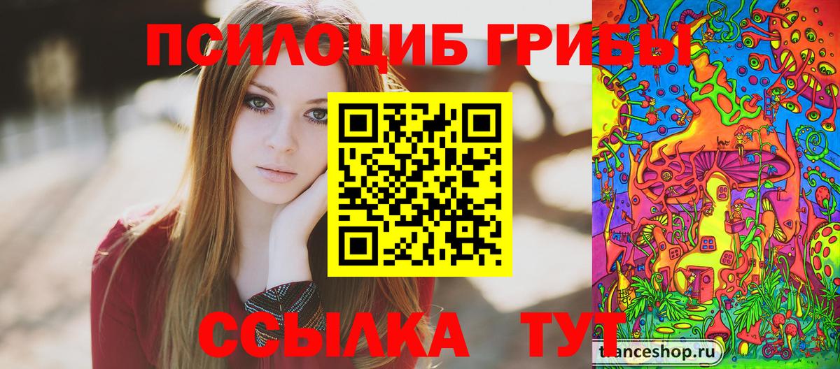 Выборг  Псилоцибиновые грибы MAGIC MUSHROOMS  Вход с VPN 